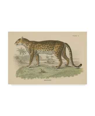 Wild Apple Portfolio Vintage Leopard Canvas Art