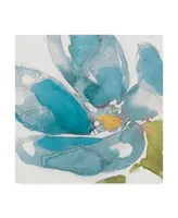 Jennifer Goldberger Flower Splash I Canvas Art