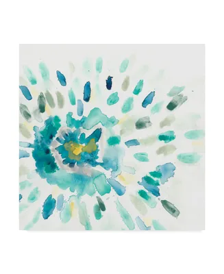 June Erica Vess Starburst Floral I Canvas Art