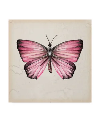 Melissa Wang Butterfly Study Iv Canvas Art