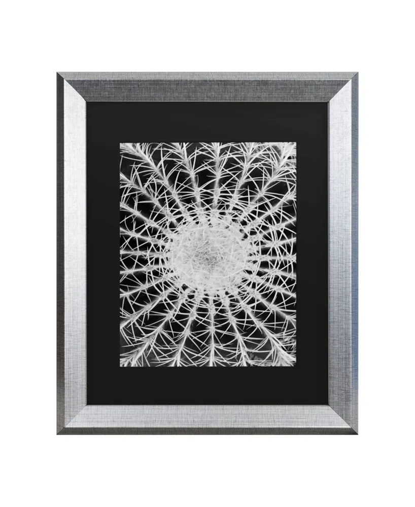 Kurt Shaffer Barrel Cactus Matted Framed Art - 20" x 25"