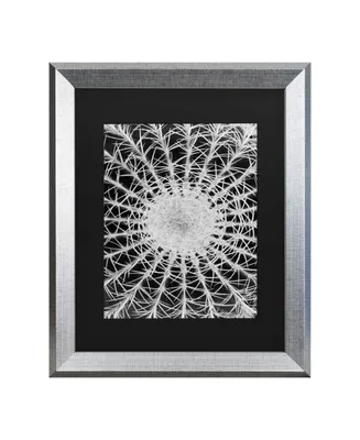 Kurt Shaffer Barrel Cactus Matted Framed Art - 20" x 25"
