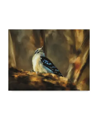 Lois Bryan Little Downy Woodpecker Canvas Art