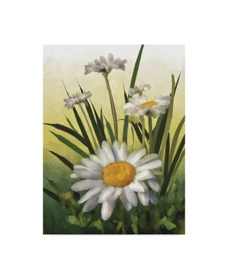 Lois Bryan Spring Daisies Canvas Art