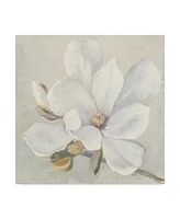 Julia Purinton Serene Magnolia Canvas Art - 27" x 33"