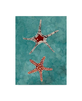 Alicia Ludwig Twin Starfish I Canvas Art - 20" x 25"