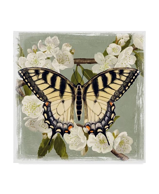 Victoria Borges Butterfly Branch Ii Canvas Art - 15" x 20"