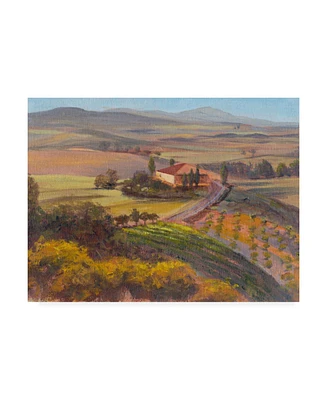 Sandra Iafrate Nostalgic Tuscany I Canvas Art - 37" x 49"