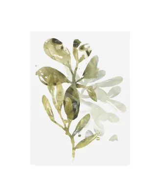 June Erica Vess Lichen and Leaves I Canvas Art