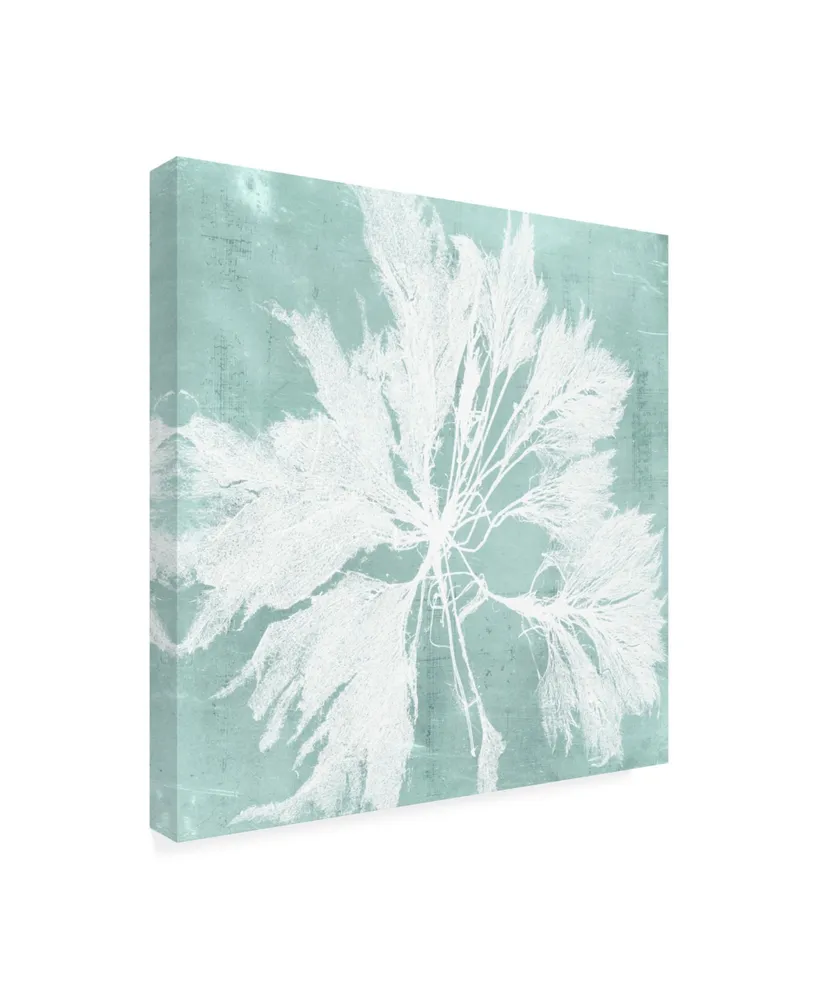 Vision Studio Seaweed on Aqua Vi Canvas Art