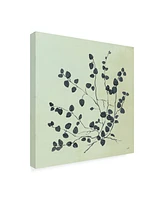 Julia Purinton Botanical Study Vii Sage Canvas Art - 15.5" x 21"