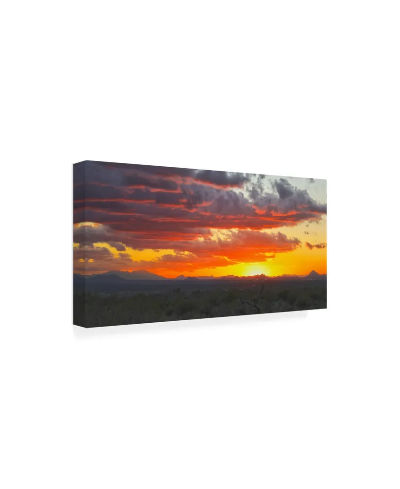 Mitch Catanzaro Sonoran Desert Sunset Canvas Art