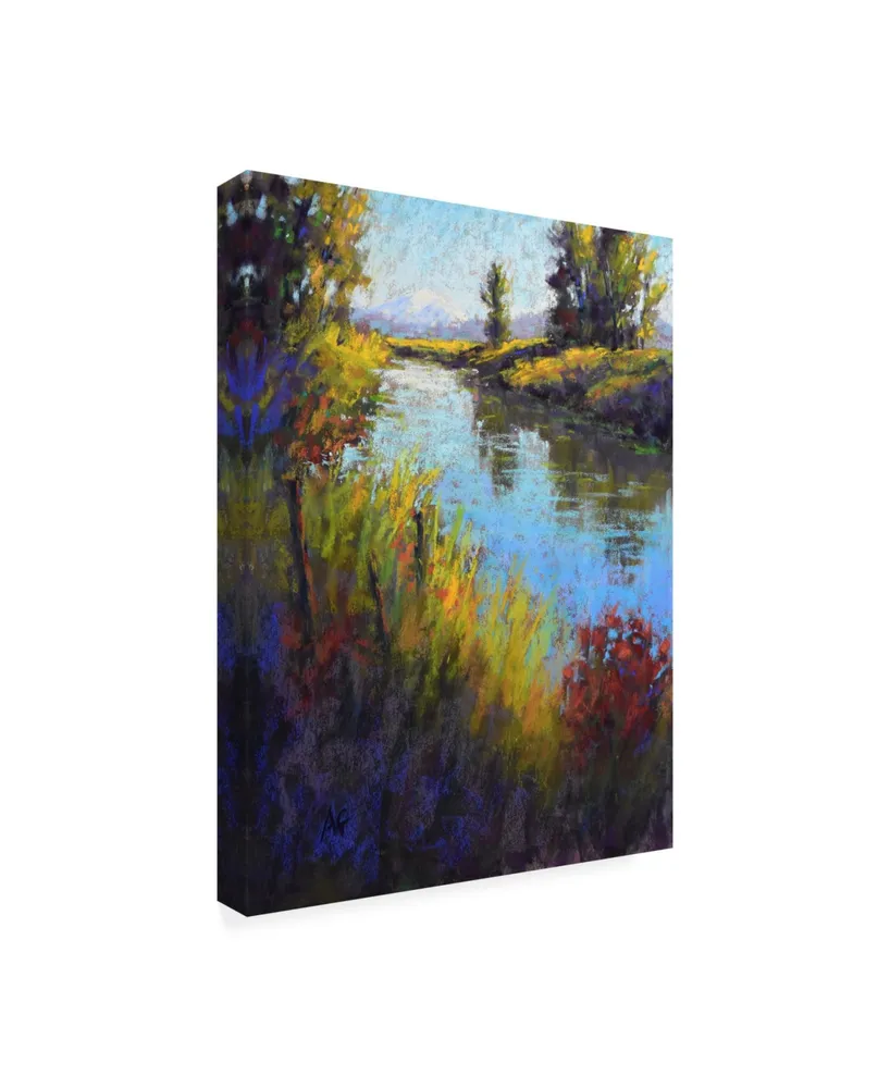 Alejandra Go Looking down the Slough Canvas Art - 19.5" x 26"