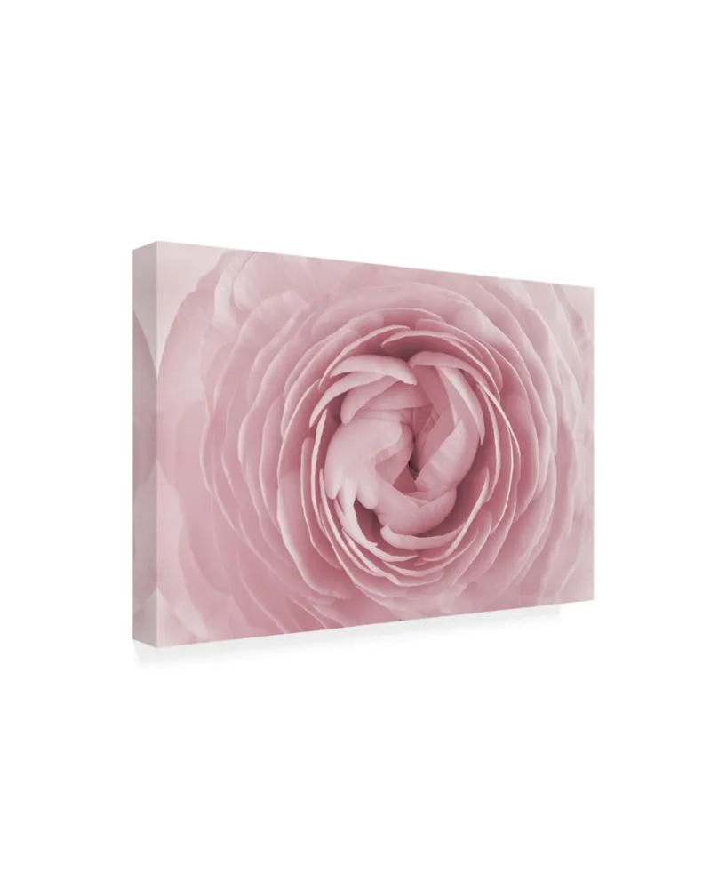 PhotoINC Studio Large Pink Rose Canvas Art