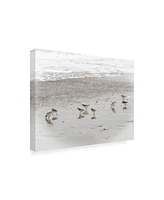 Brooke T. Ryan Sandpipers Canvas Art - 36.5" x 48"