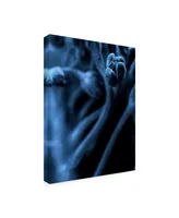 Incado Leaf Viii Canvas Art - 36.5" x 48"