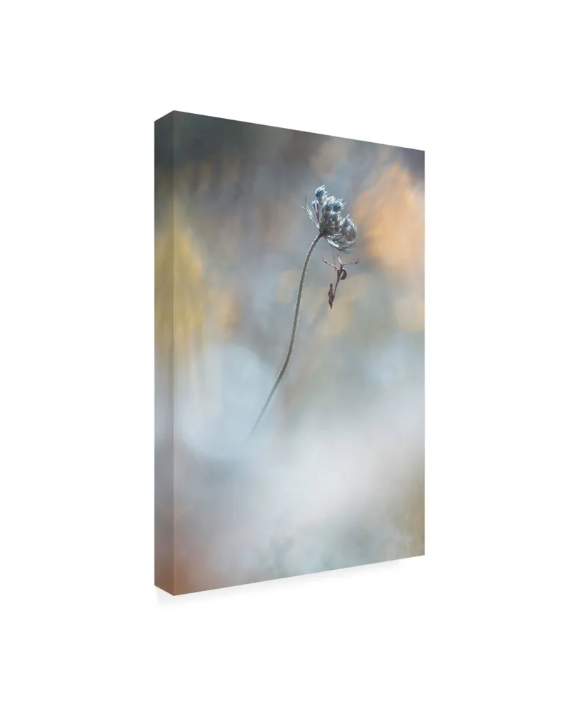 Fabien Bravin All the Small Things Canvas Art