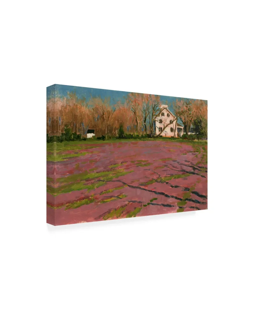 Michael Budden Giligos Field Canvas Art