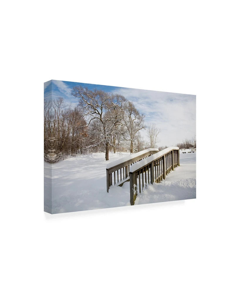 Monte Nagler Snow Bridge Farmington Hills Michigan Canvas Art - 20" x 25"