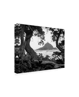 Monte Nagler Long Hanna Drive Maui Hawaii Canvas Art - 20" x 25"