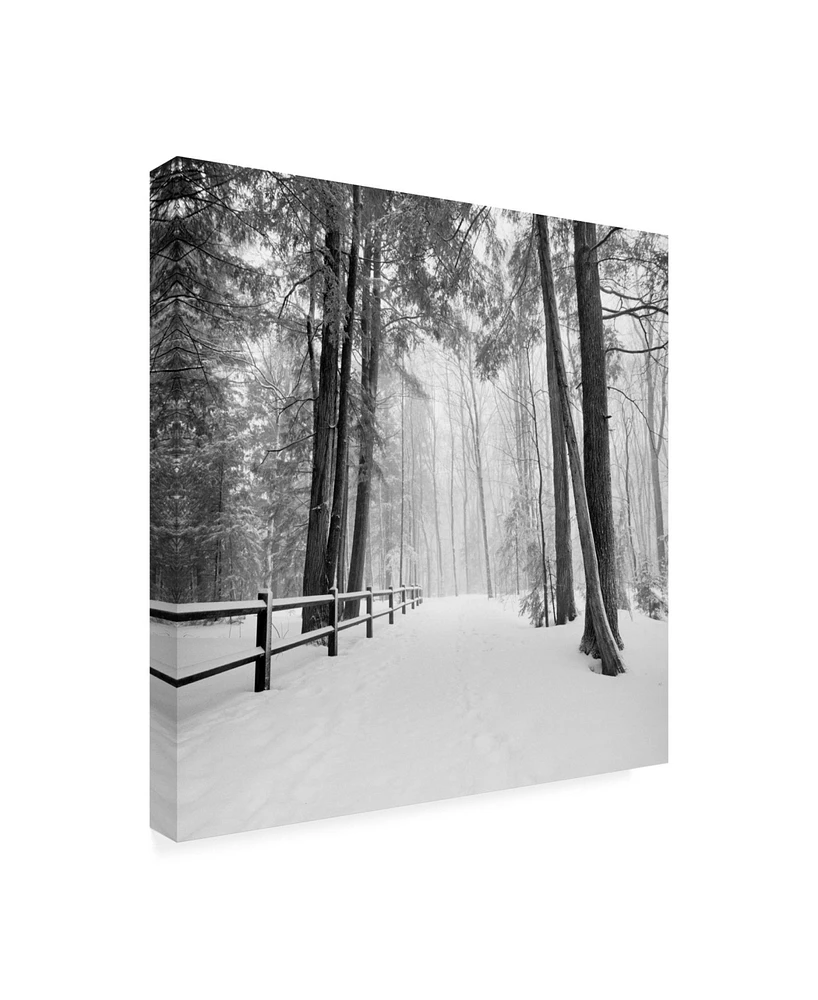 Monte Nagler Winters Path Canvas Art