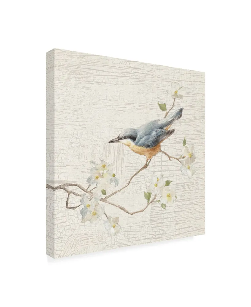 Danhui Nai Nuthatch Vintage Painting Canvas Art - 36.5" x 48"