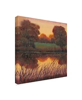 Tim Otoole Early Evening I Autumn Canvas Art - 19.5" x 26"