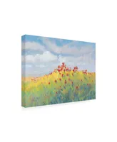 Tim OToole Summer Breeze Meadow Ii Canvas Art