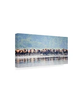 Ph Burchett Water Horses Ii Canvas Art - 36.5" x 48"