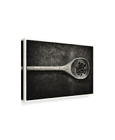 Claude Laramee Wooden Spoon Canvas Art - 20" x 25"