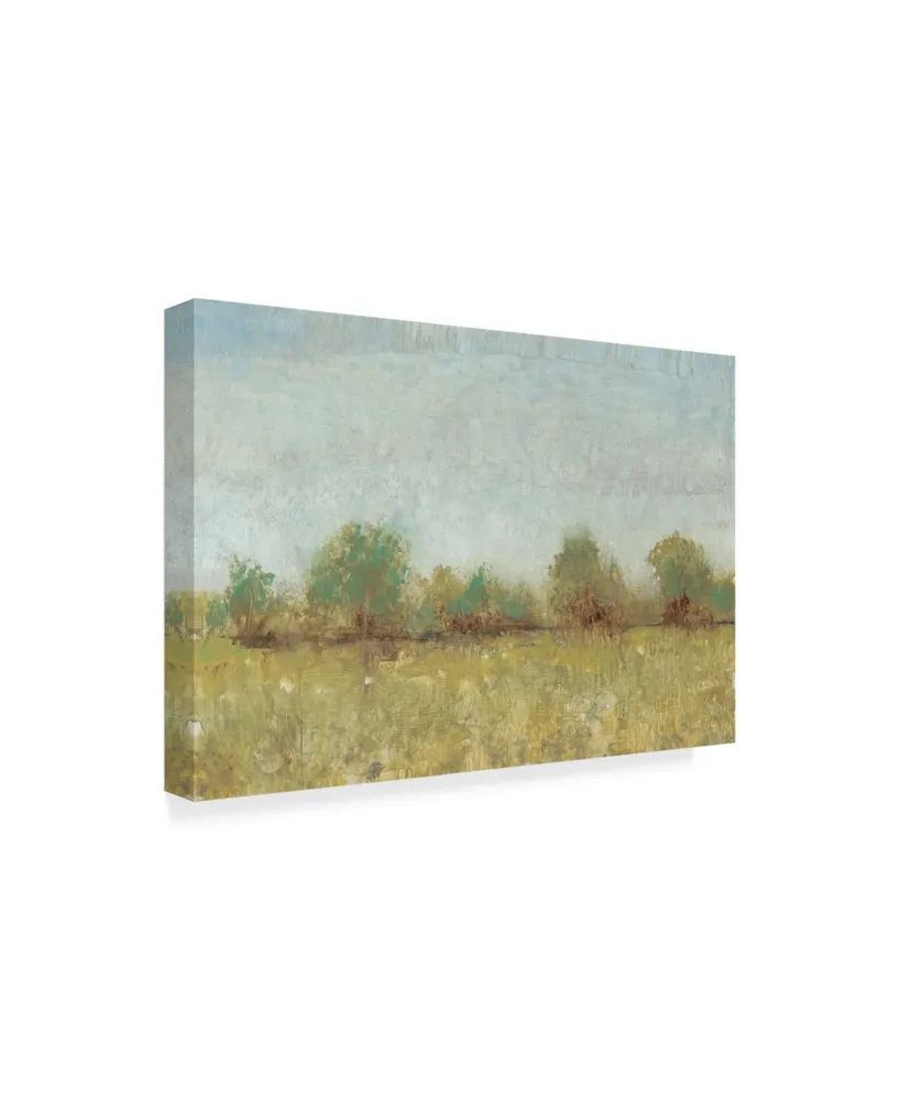 Tim Otoole Spring Field I Canvas Art