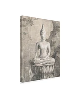 Danhui Nai Buddha Neutral Canvas Art - 20" x 25"