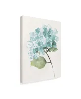 Wild Apple Portfolio Antique Floral on Cream I Blue Canvas Art - 20" x 25"