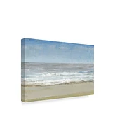 Tim Otoole Beach Walking Day I Canvas Art - 37" x 49"