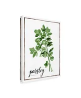 Grace Popp Watercolor Herbs Ii Canvas Art