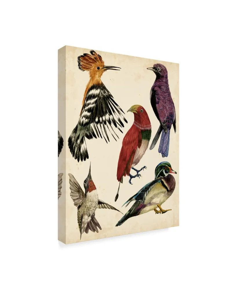 Melissa Wang Bird Collection Ii Canvas Art - 15" x 20"