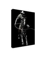 Julie T. Chapman Scratchboard Rodeo Viii Canvas Art - 37" x 49"