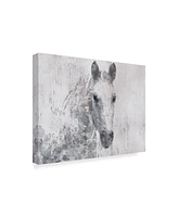 Irena Orlov Dapple Horse I Canvas Art - 37" x 49"