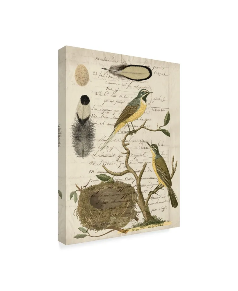 Vision Studio Avian Journal Ii Canvas Art