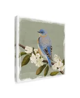 Victoria Borges Bluebird Branch Ii Canvas Art - 15" x 20"