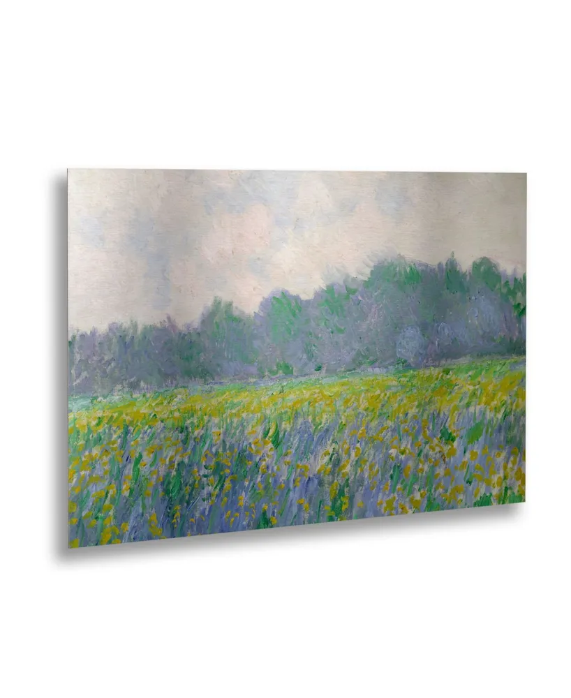 Claude Monet Field of Yellow Irises at Giverny Floating Brushed Aluminum Art - 22" x 25"