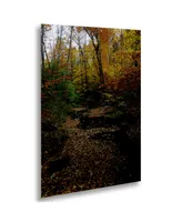 Kurt Shaffer Autumn Stream Floating Brushed Aluminum Art - 22" x 25"