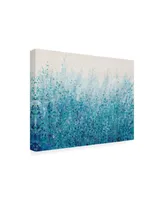 Tim Otoole Misty Blues Ii Canvas Art