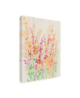 Tim Otoole Brilliant Floral I Canvas Art