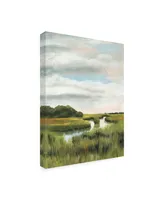 Naomi Mccavitt Marsh Landscapes I Canvas Art