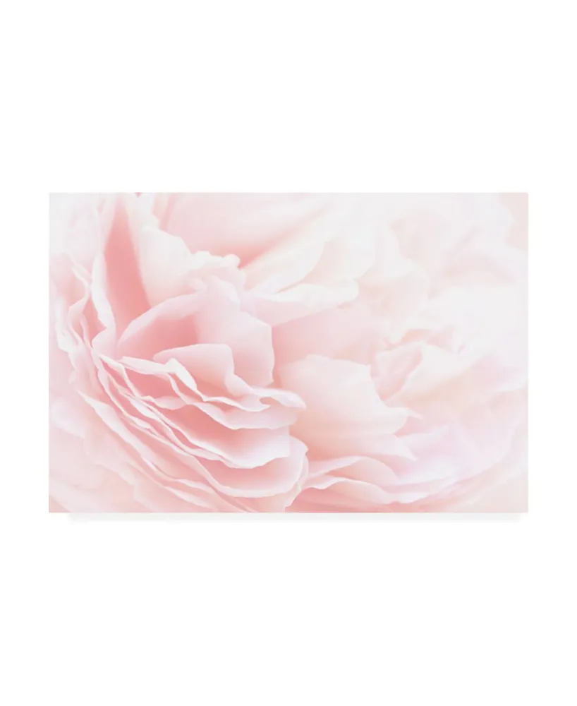 PhotoINC Studio Rose 2 Pink Floral Canvas Art - 36.5" x 48"