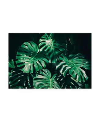 PhotoINC Studio Tropical Green Palm Canvas Art