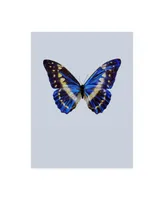 Incado Blue Butterfly Study Canvas Art - 15.5" x 21"