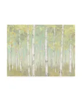 Julia Purinton Sylvan Birches Canvas Art