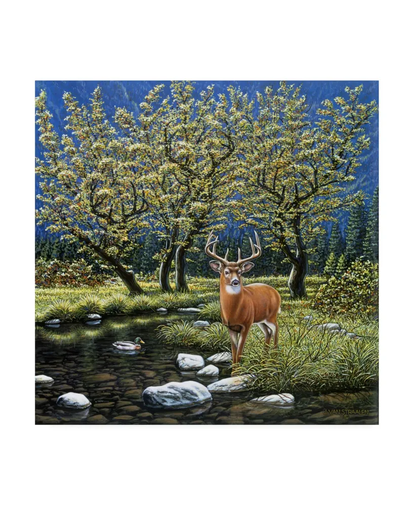 John Van Straalen Streamside Spirits Canvas Art